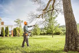 Best Tree Removal Services  in New Vienna, OH